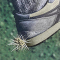 Tread Music CD