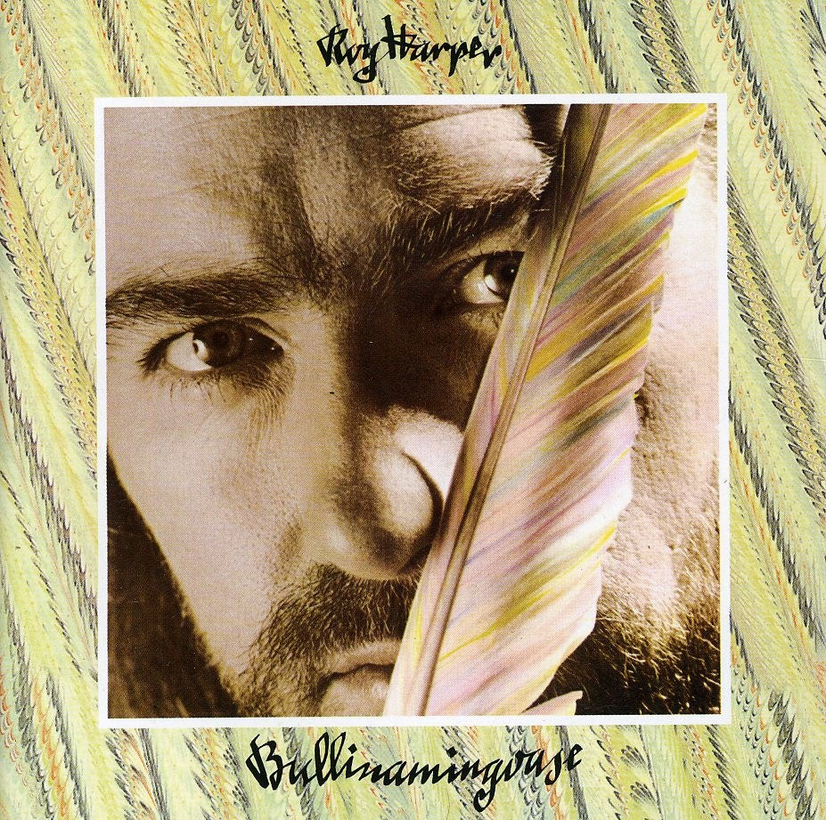 Bullinamingvase Vinyl Record