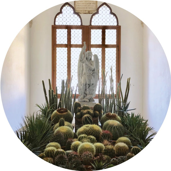 San Pedro Vinyl Record