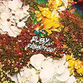 New As Dew Vinyl Record