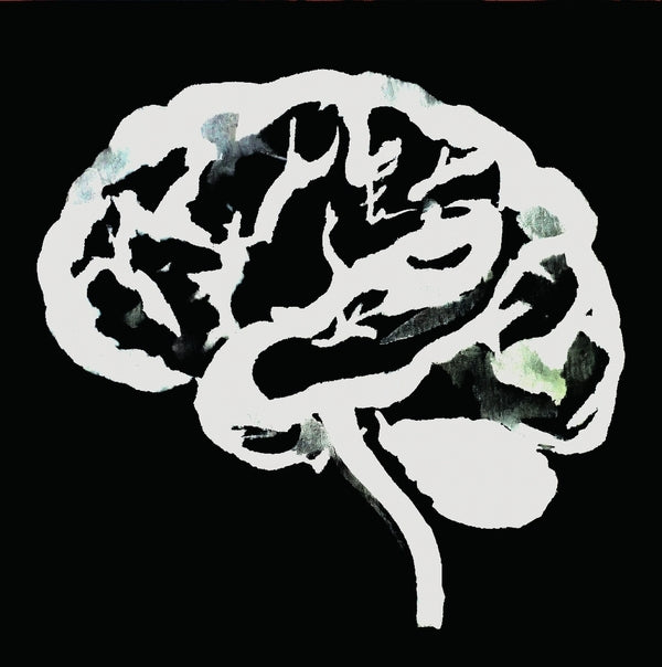 Brain Flakes (The Lost Combo Tapes) Vinyl Record