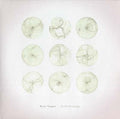 Field Drawings Vinyl Record
