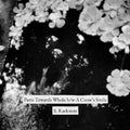 Parts Towards Whole b/w A Crow's Smile Vinyl Record