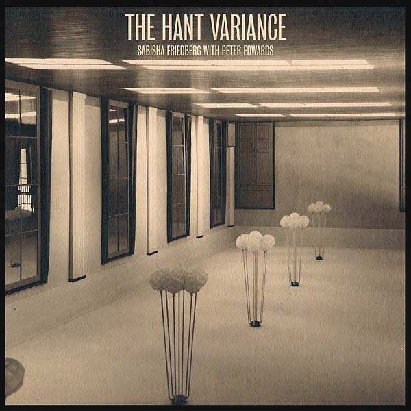 The Hant Variance Vinyl Record