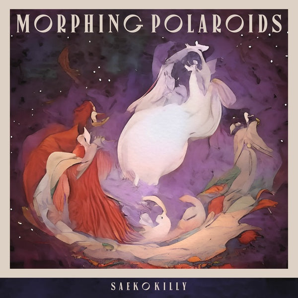 Morphing Polaroids Vinyl Record
