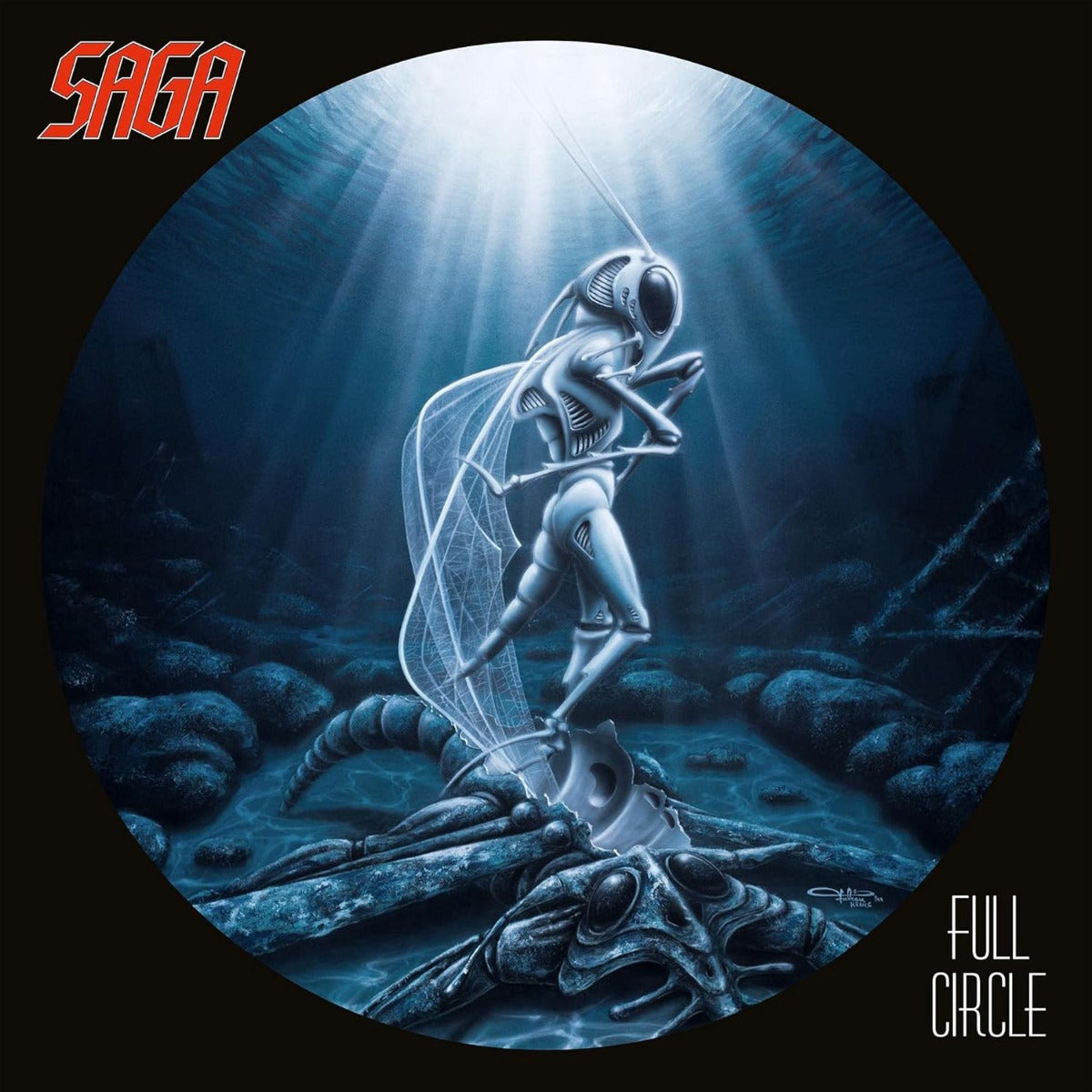 Full Circle (Remastered, 180 Gram Vinyl) Vinyl Record