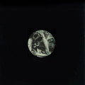 Earth Wart EP Vinyl Record