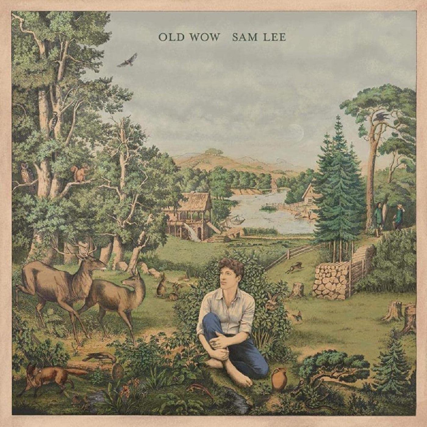 Old Wow (Vinyl) Vinyl Record