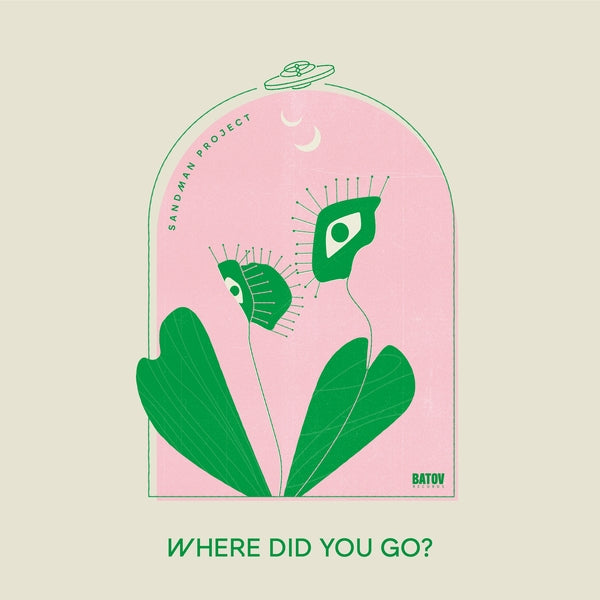 Where Did You Go? Vinyl Record