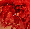 Ghadr Vinyl Record