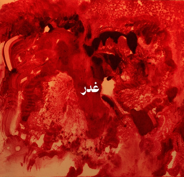 Ghadr Vinyl Record