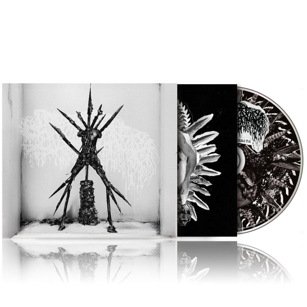 Hideous Aftermath Music CD