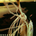 Escaper Music CD