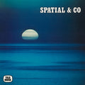 Spatial & Co Vinyl Record