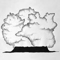 School Of Language - Sea From Shore Vinyl Record