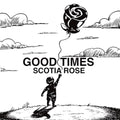 Good Times Vinyl Record