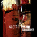 Bad Ingredients Music CD