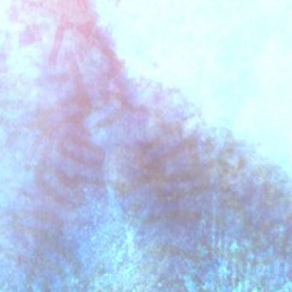 The Worm At The Core Vinyl Record