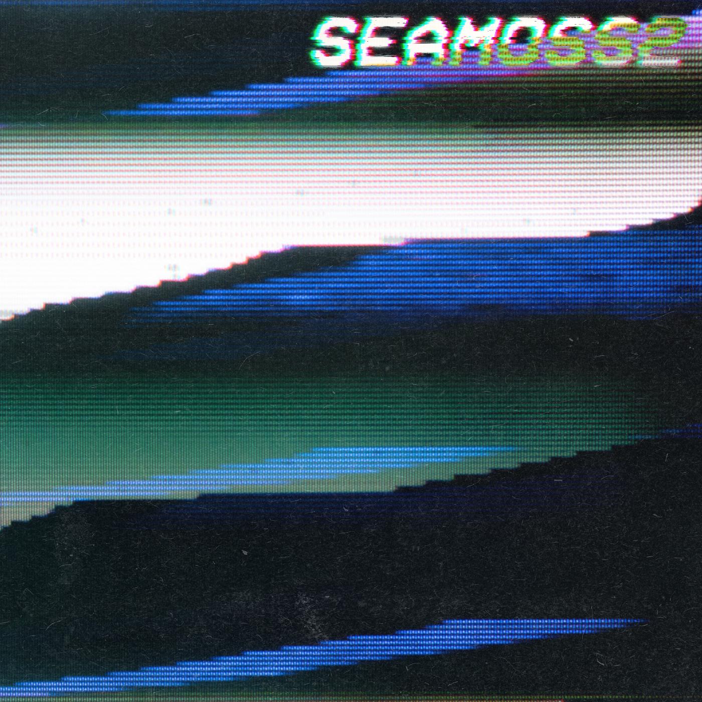 SEAMOSS2 Vinyl Record