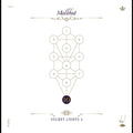 The Book Beri'ah Vol 10-Malkhut Music CD