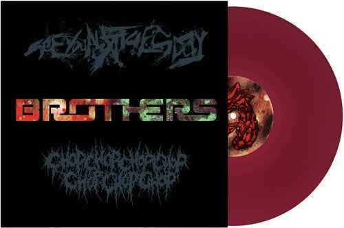 See You Next Tuesday - Brothers (7" Single) [Red Vinyl] Vinyl Record
