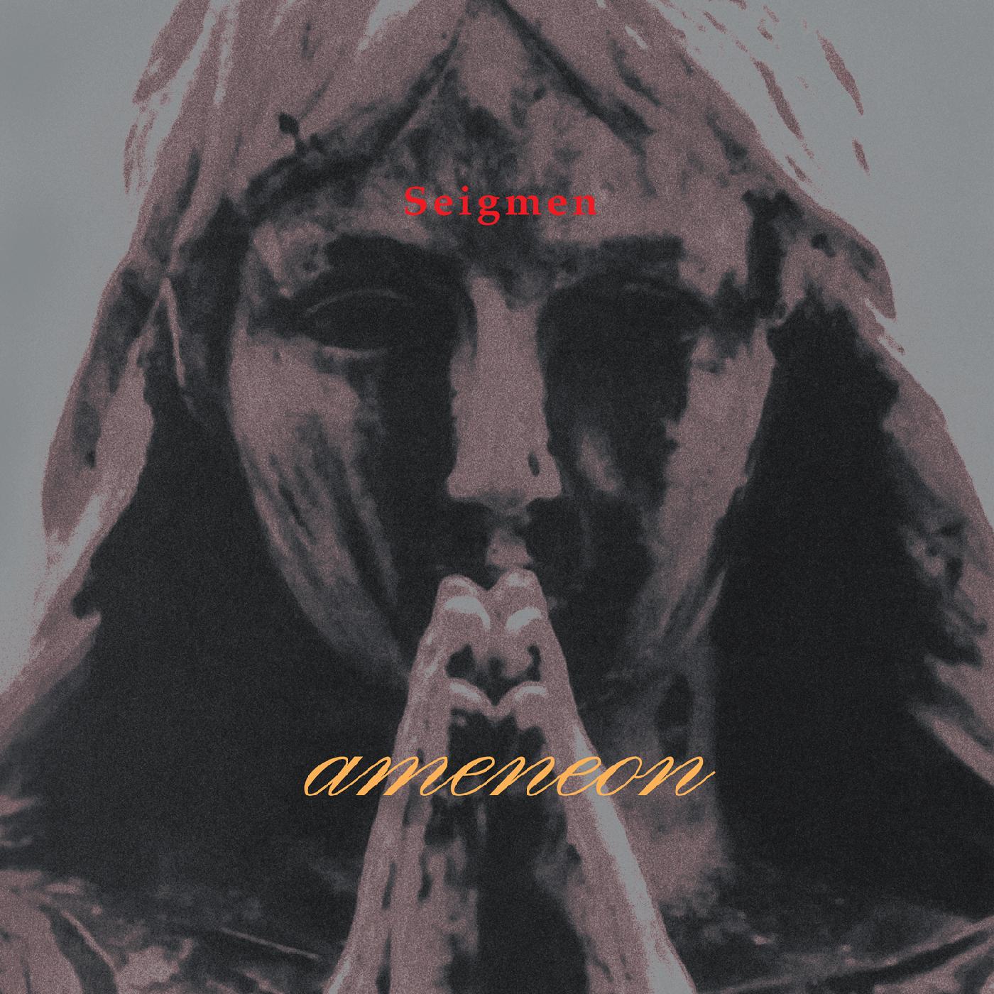 Ameneon Music CD