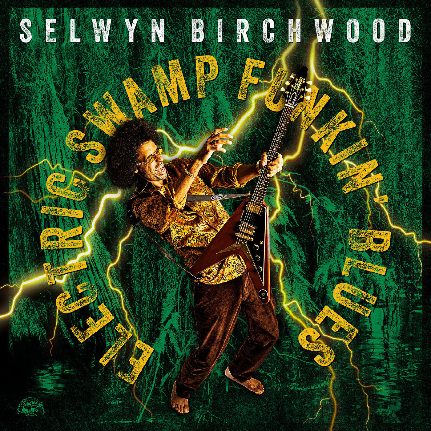 Electric Swamp Funkin' Blues Vinyl Record
