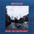 Built Environment Vinyl Record