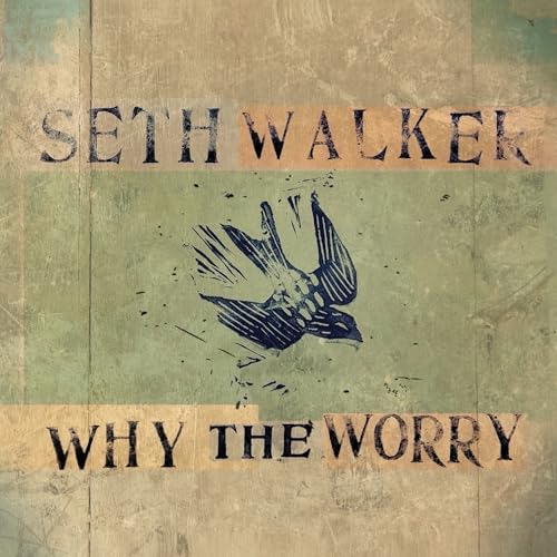 Why The Worry Vinyl Record