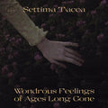 Wondrous Feelings of Ages Long Gone Vinyl Record