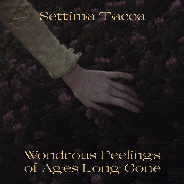 Wondrous Feelings of Ages Long Gone Vinyl Record