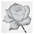 For Lovers Only / Rain Suite Vinyl Record