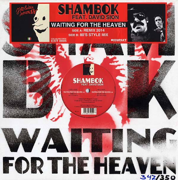 Waiting for the Heaven Vinyl Record