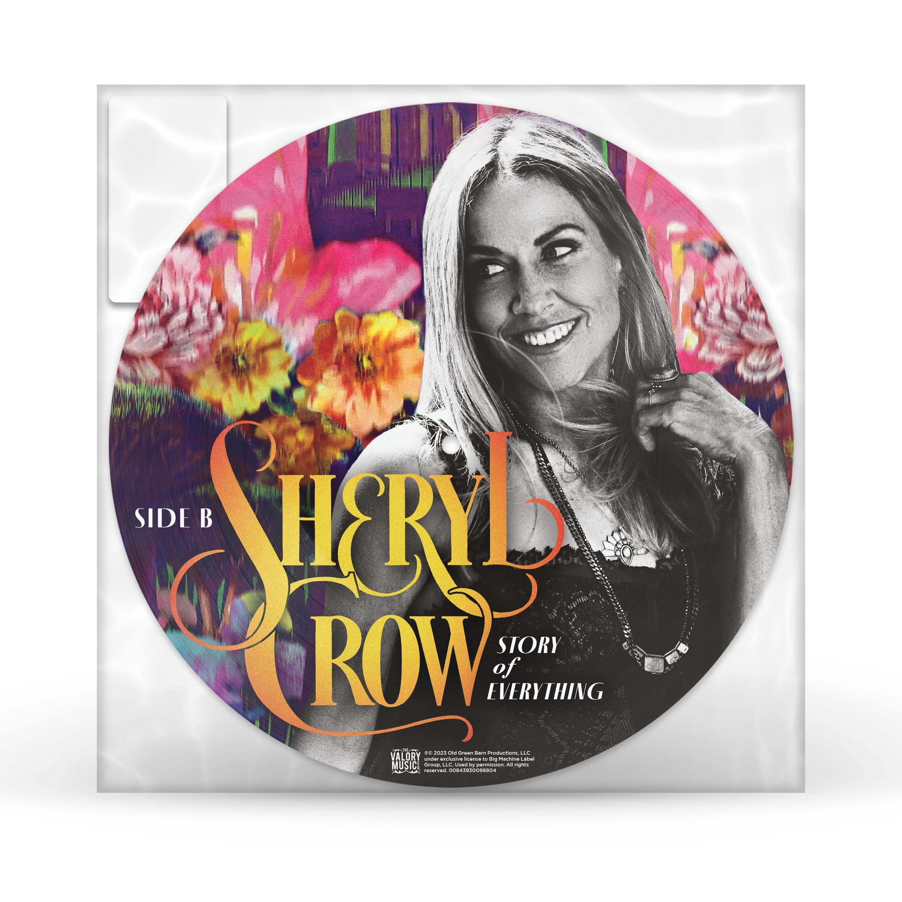 Sheryl Crow - Story Of Everything [Picture Disc LP] Vinyl Record