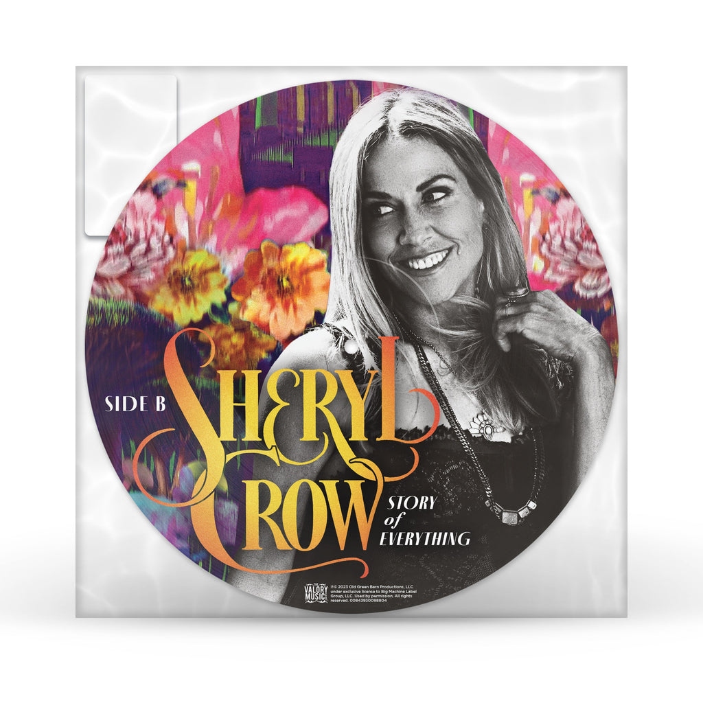 Story Of Everything (Picture Disc) | Mint (M) Mint (M)