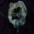 Initiatrix (Vinyl) Vinyl Record