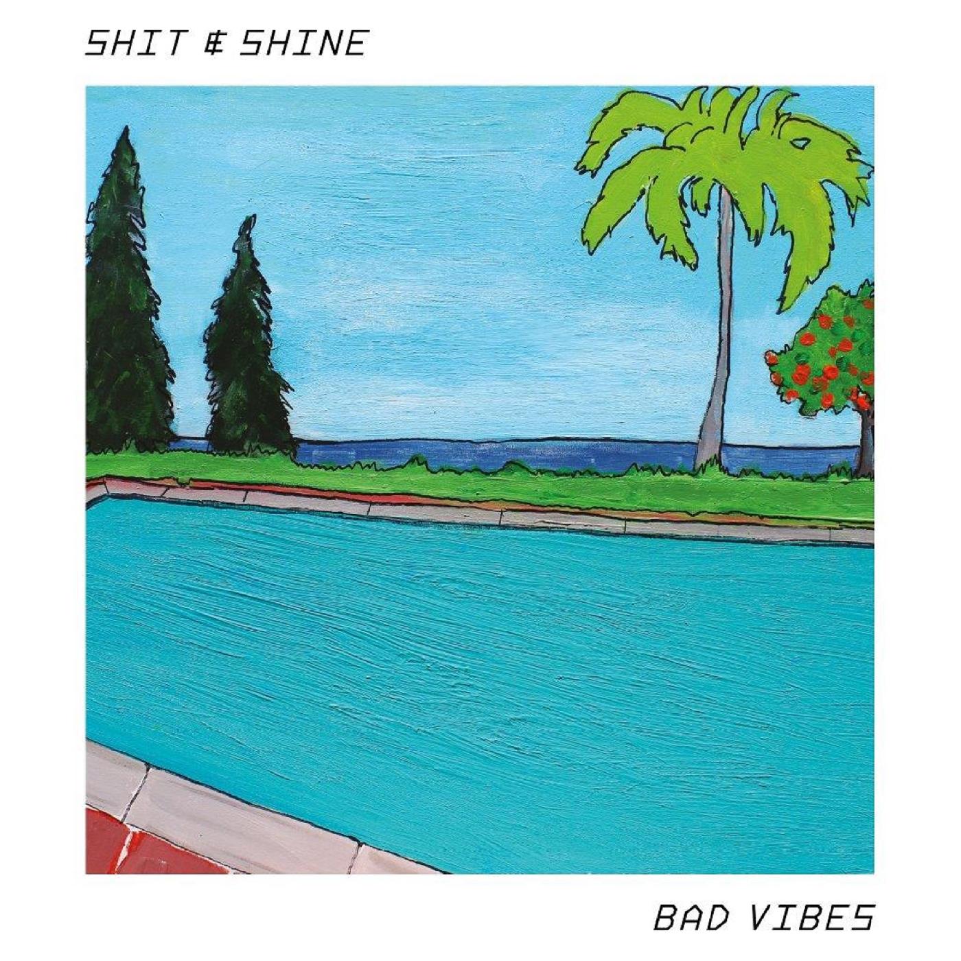 Bad Vibes Vinyl Record