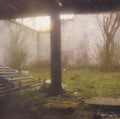 Slow Death Process Vinyl Record