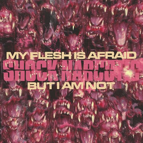 My Flesh Is Afraid But I Am Not Vinyl Record