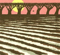 Tasankokaiku Music CD