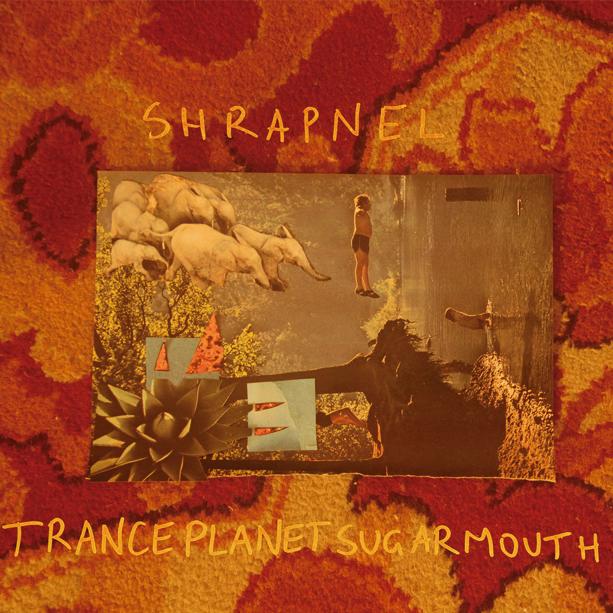 Tranceplanetsugarmouth Vinyl Record