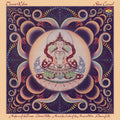 Shri Camel Vinyl Record