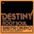 Destiny Replayed By Root Soul Vinyl Record