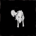 Kveikur (RSD 4.22.23) Vinyl Record