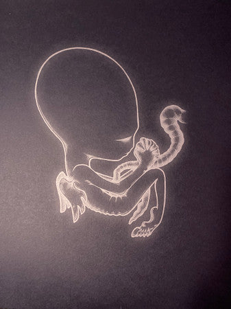 Sigur Rós - Ágætis Byrjun (Color Vinyl - VMP) - Vinyl Record