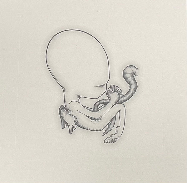 Sigur Rós - Ágætis Byrjun (Color Vinyl - VMP) - Vinyl Record