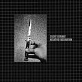 Negative Fascination (Expanded) Vinyl Record