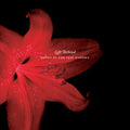 Left Behind: Songs of the 1916 Widows Music CD