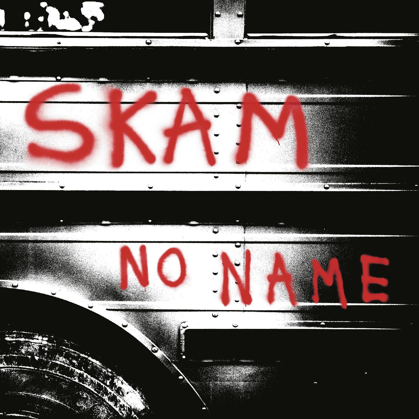 No Name Vinyl Record