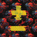 Skeletons Vinyl Record